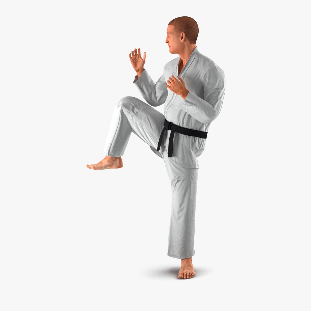 Karate Fighter Pose 3 with Fur 3D Model 3D model preview