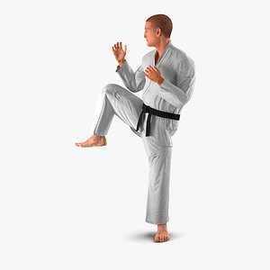 Karate Fighter Pose 3 with Fur 3D Model