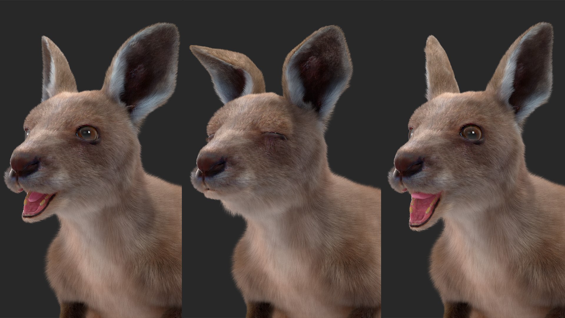 3D model Baby Kangaroo Fur Rigged https://p.turbosquid.com/ts-thumb/OQ/JTDk0c/2O/babykangaroofurrigged3dmodel028/jpg/1719431663/1920x1080/fit_q87/b0d9c572b33552221fee4cc5b34946da8fc87026/babykangaroofurrigged3dmodel028.jpg