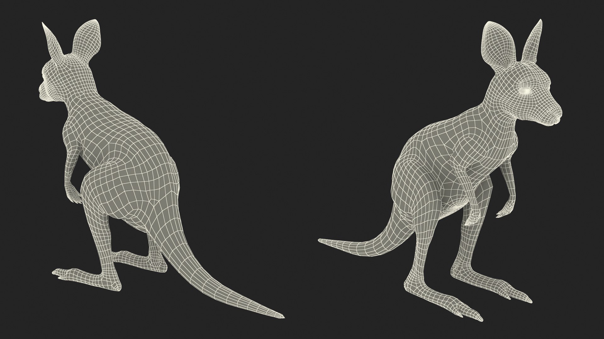 3D model Baby Kangaroo Fur Rigged https://p.turbosquid.com/ts-thumb/OQ/JTDk0c/Hg/babykangaroofurrigged3dmodel035/jpg/1719431693/1920x1080/fit_q87/885f268be56221bfbe61a7c9fdaabc5d0fe3e06d/babykangaroofurrigged3dmodel035.jpg