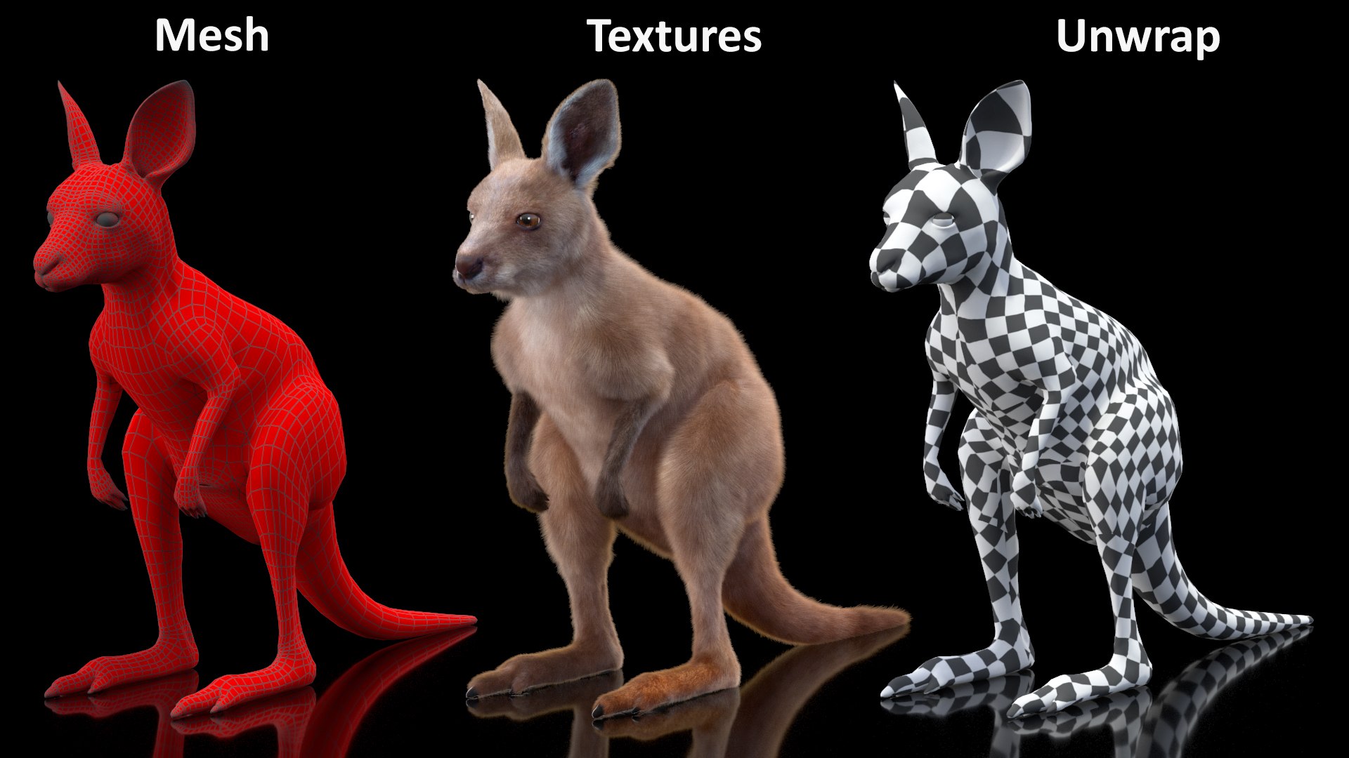 3D model Baby Kangaroo Fur Rigged https://p.turbosquid.com/ts-thumb/OQ/JTDk0c/Ss/babykangaroofurrigged3dmodel029/jpg/1719431667/1920x1080/fit_q87/bee4ac4304704b5a74e82c9c6a96ca6bae8ef0db/babykangaroofurrigged3dmodel029.jpg