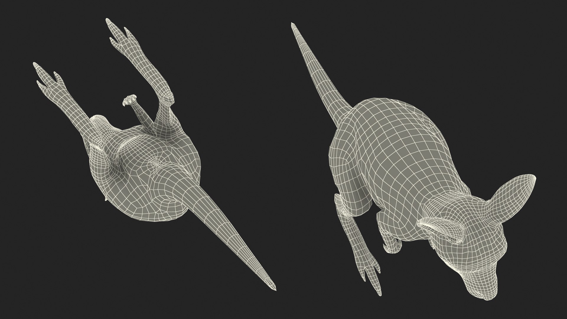 3D model Baby Kangaroo Fur Rigged https://p.turbosquid.com/ts-thumb/OQ/JTDk0c/d7/babykangaroofurrigged3dmodel036/jpg/1719431697/1920x1080/fit_q87/835c2319f73b4b56a22ec25f9e65b191a79ac26c/babykangaroofurrigged3dmodel036.jpg