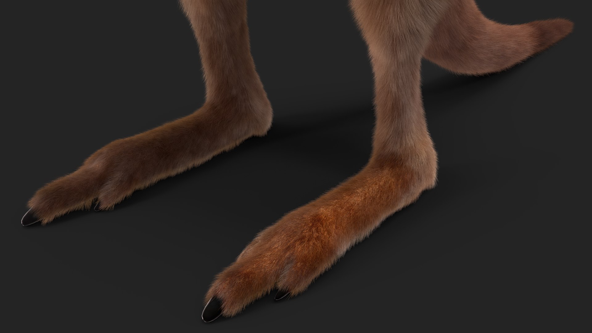 3D model Baby Kangaroo Fur Rigged https://p.turbosquid.com/ts-thumb/OQ/JTDk0c/g2/babykangaroofurrigged3dmodel024/jpg/1719431646/1920x1080/fit_q87/d6c480e1f09925ad43592d21678a6279a6d83f17/babykangaroofurrigged3dmodel024.jpg