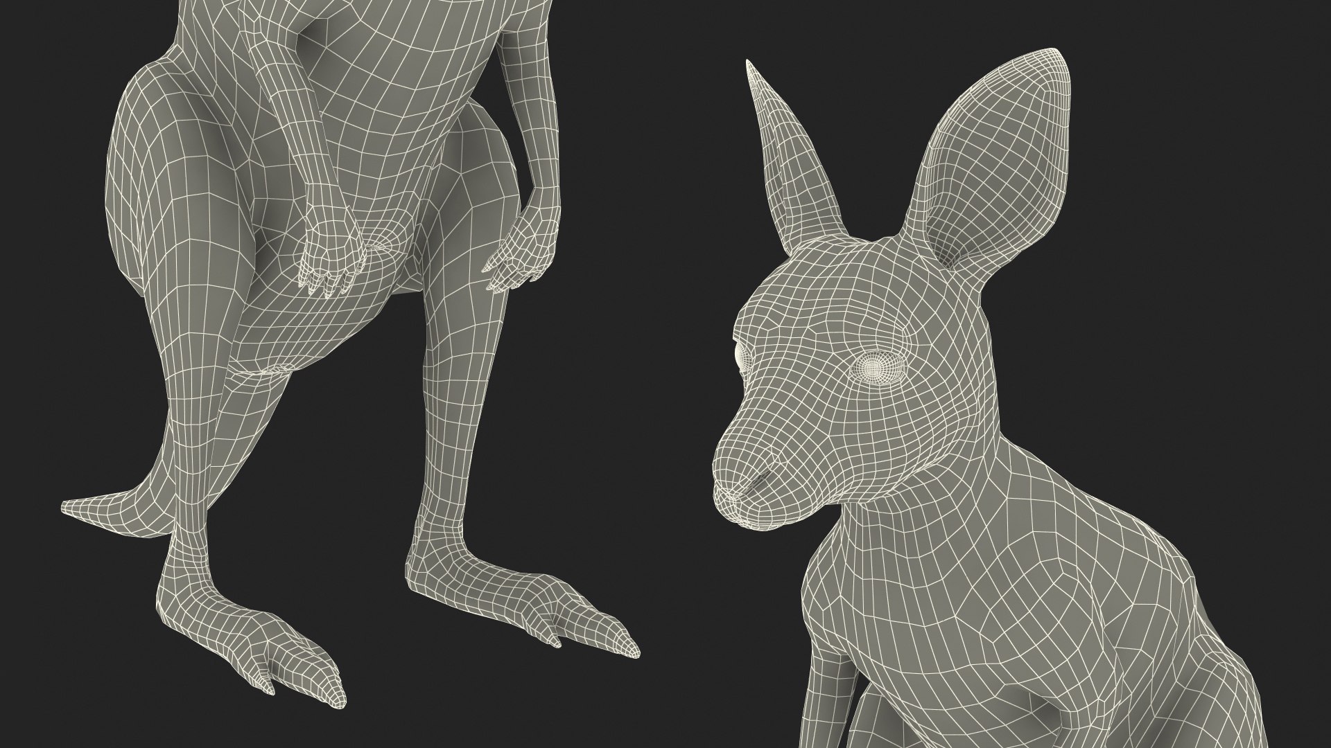 3D model Baby Kangaroo Fur Rigged https://p.turbosquid.com/ts-thumb/OQ/JTDk0c/zx/babykangaroofurrigged3dmodel037/jpg/1719431701/1920x1080/fit_q87/154216fe56ae8e1dbbb1795306e8821f76294de6/babykangaroofurrigged3dmodel037.jpg