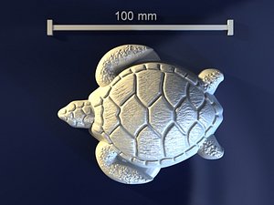 Tortoise