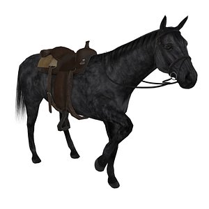rigged wild west horse saddle max