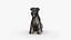 Figura de perro schnauzer