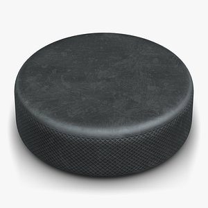 Hockey Puck