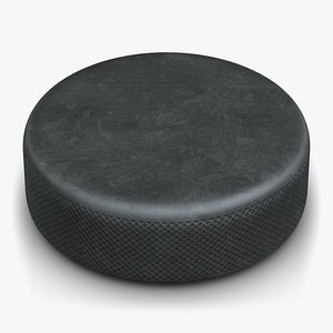 Hockey Puck