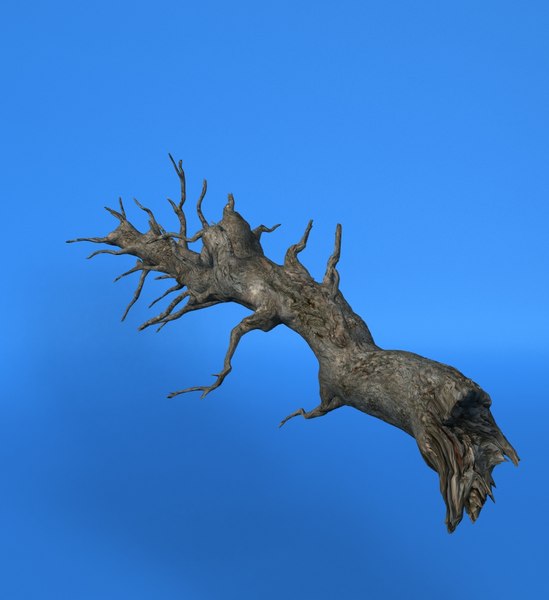 3d model old tree