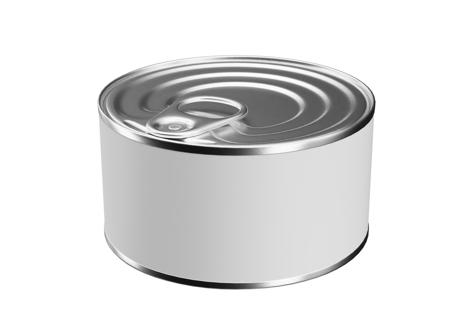 Canned Food 01 3D https://p.turbosquid.com/ts-thumb/OQ/wkdoEt/vA/t1/jpg/1734967172/1920x1080/fit_q87/6249c5dd96f228fe72a7604a746c133da0c1f817/t1.jpg