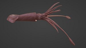 3D kraken squid giant model