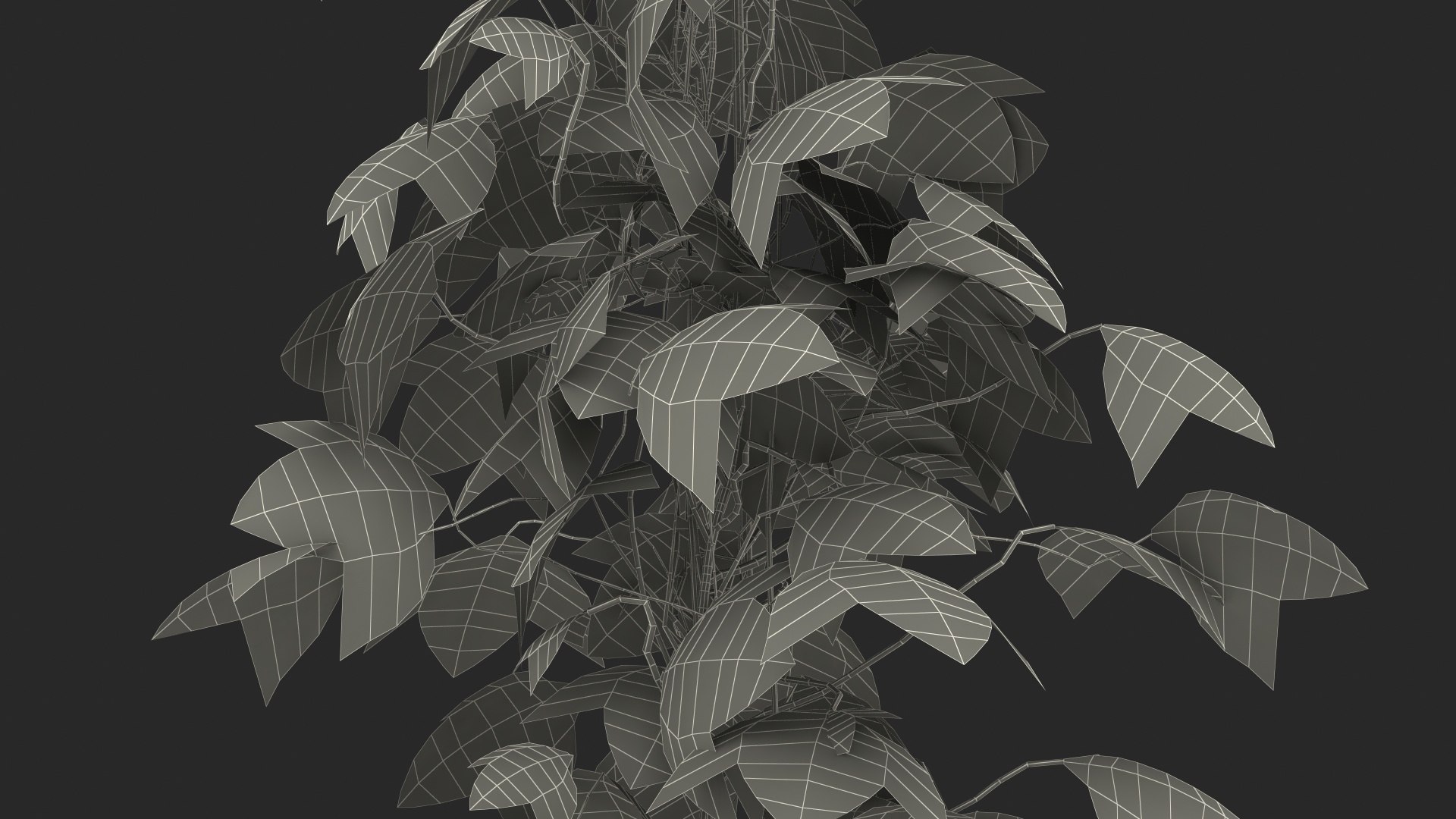 growing green hop plant model https://p.turbosquid.com/ts-thumb/OR/25i8Wv/JEXN0oOA/growinggreenhopplant3dmodel017/jpg/1567211314/1920x1080/fit_q87/ceb1fa66ec18a4b2e2a8aaa02b59d2b27d474f07/growinggreenhopplant3dmodel017.jpg