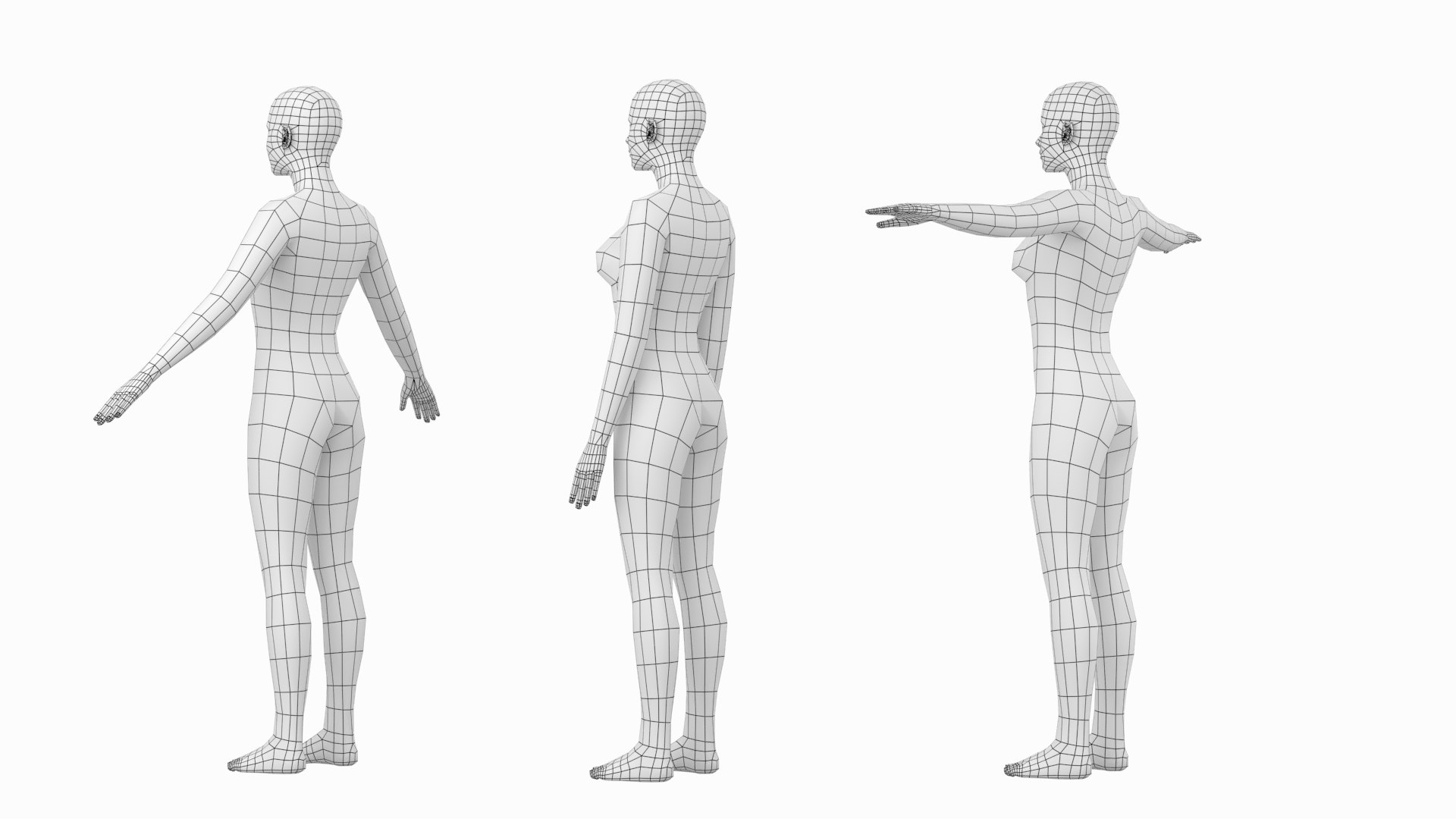 3D Natural Female In 3 Modeling Poses Base Mesh Model - TurboSquid 2210302
