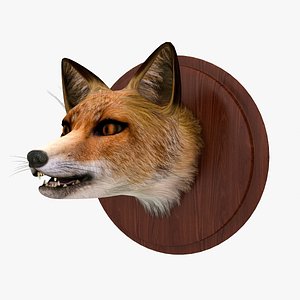 fox red head 3d max