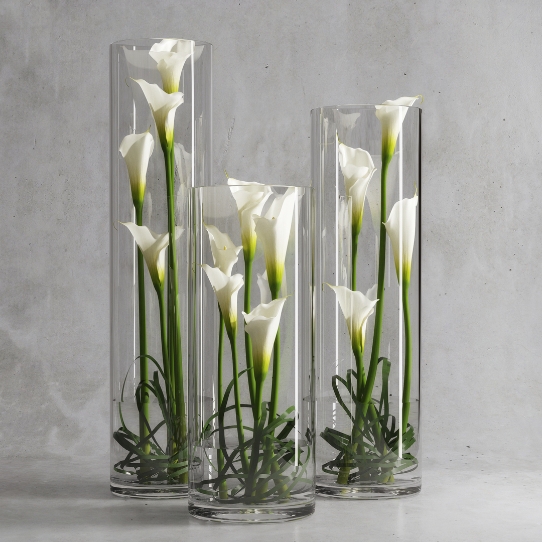 Modello 3D Calla Lily - TurboSquid 1062933