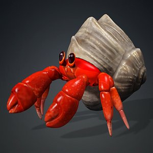 3D model Hermit Crab-A2