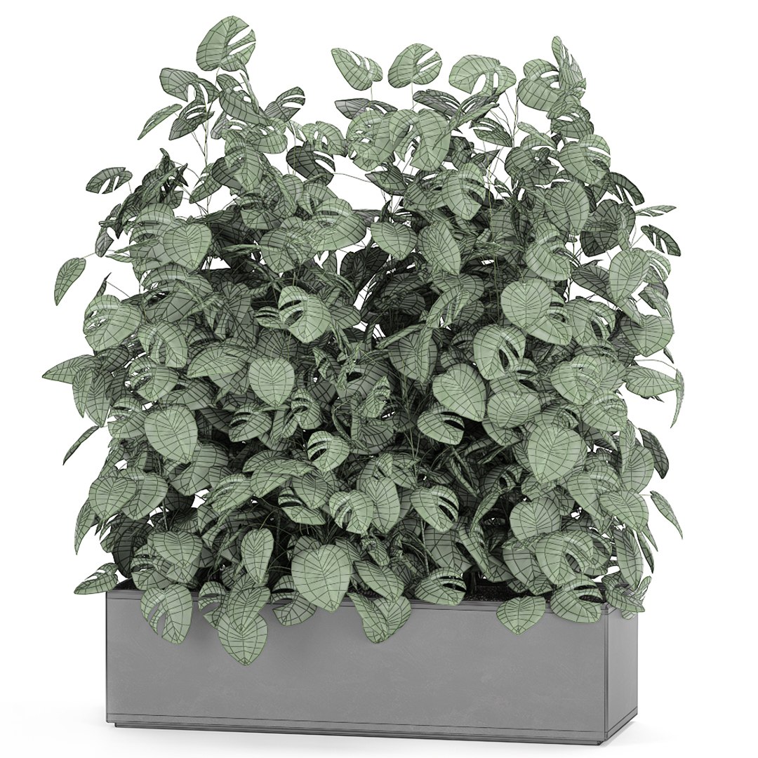 3D model interior monstera https://p.turbosquid.com/ts-thumb/OR/FV9EVL/BZikzAr6/plantsbig2811202008/jpg/1606662948/1920x1080/fit_q87/c267020f290835c6756554c3b667e9b0b96e41ca/plantsbig2811202008.jpg