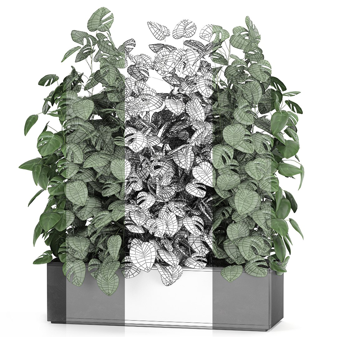 3D model interior monstera https://p.turbosquid.com/ts-thumb/OR/FV9EVL/nMhmzC7K/plantsbig2811202007/jpg/1606662947/1920x1080/fit_q87/9ff83d2c5820d476224744fc09c8baa0a8105c3c/plantsbig2811202007.jpg