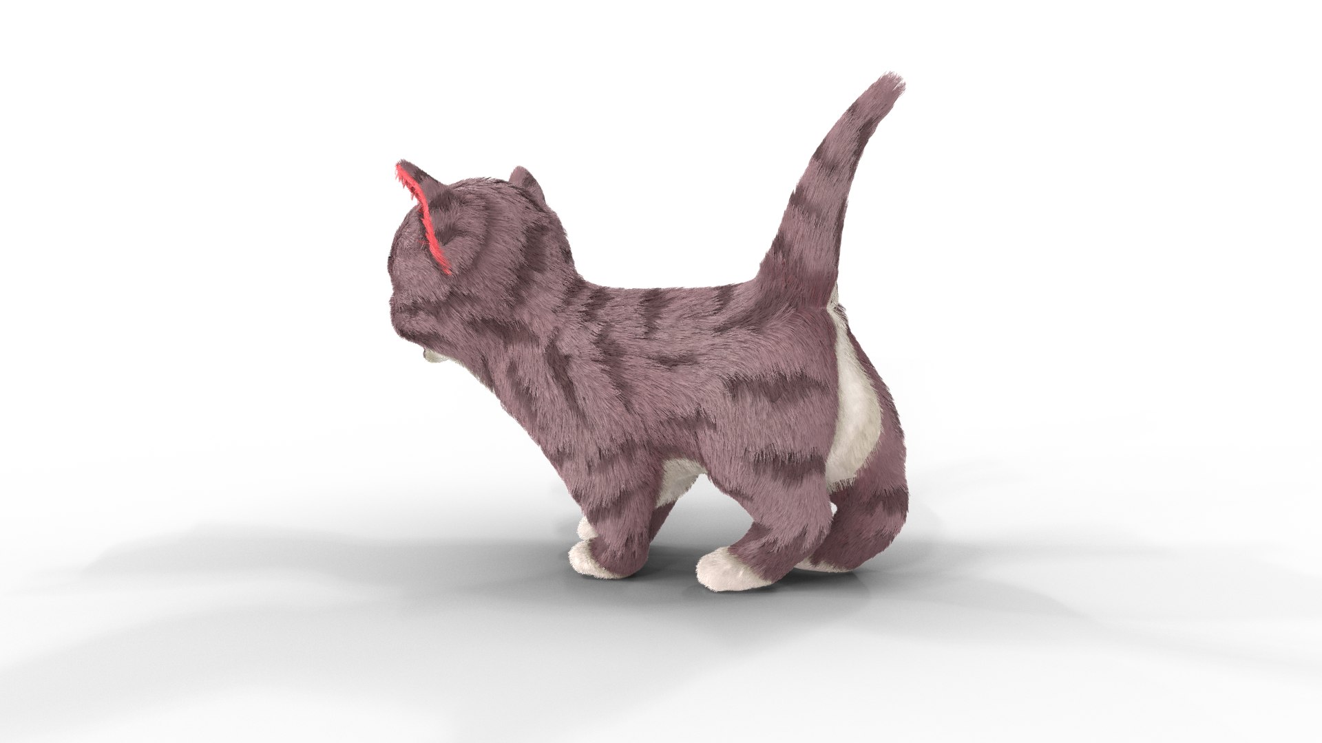 3D model Fur Cute Cat kitten Cartoon https://p.turbosquid.com/ts-thumb/OR/HbGBTi/jl/pose05/png/1618752862/1920x1080/fit_q87/7ae1f13d52d34ddedec53f406db7e3d1b2a61640/pose05.jpg