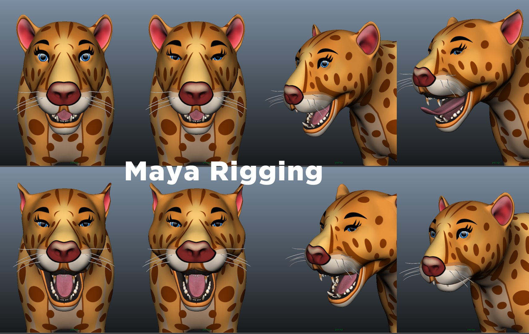 3D Leopard Rigged Model - TurboSquid 1287148