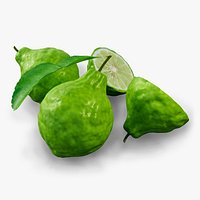 Bergamot collection
