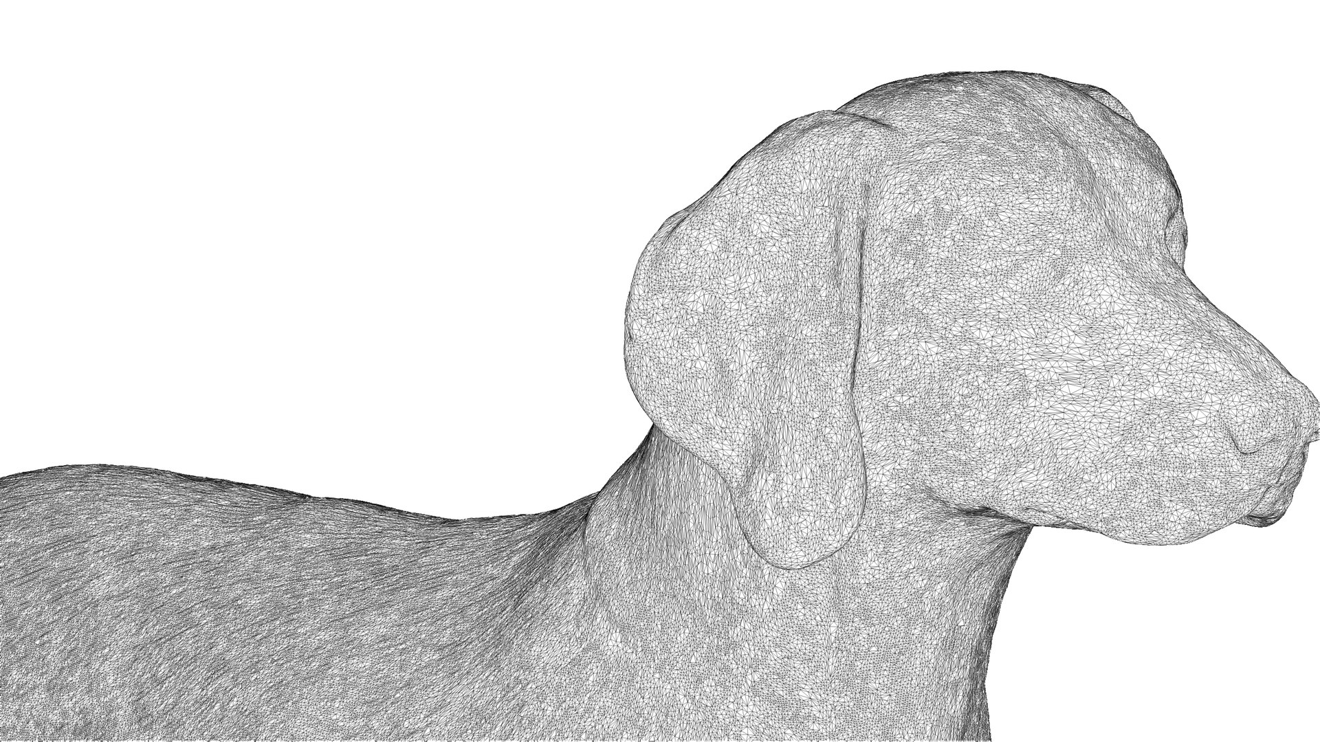 3D Hungarian  Dog model https://p.turbosquid.com/ts-thumb/OR/U9NSfj/vu/7/jpg/1726849056/1920x1080/fit_q87/0395d3d531d596065cde1e26934a5df9fcc9f9e1/7.jpg