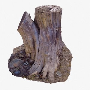 Tree Stump 01 3D model
