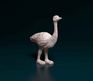 3D model Ostrich