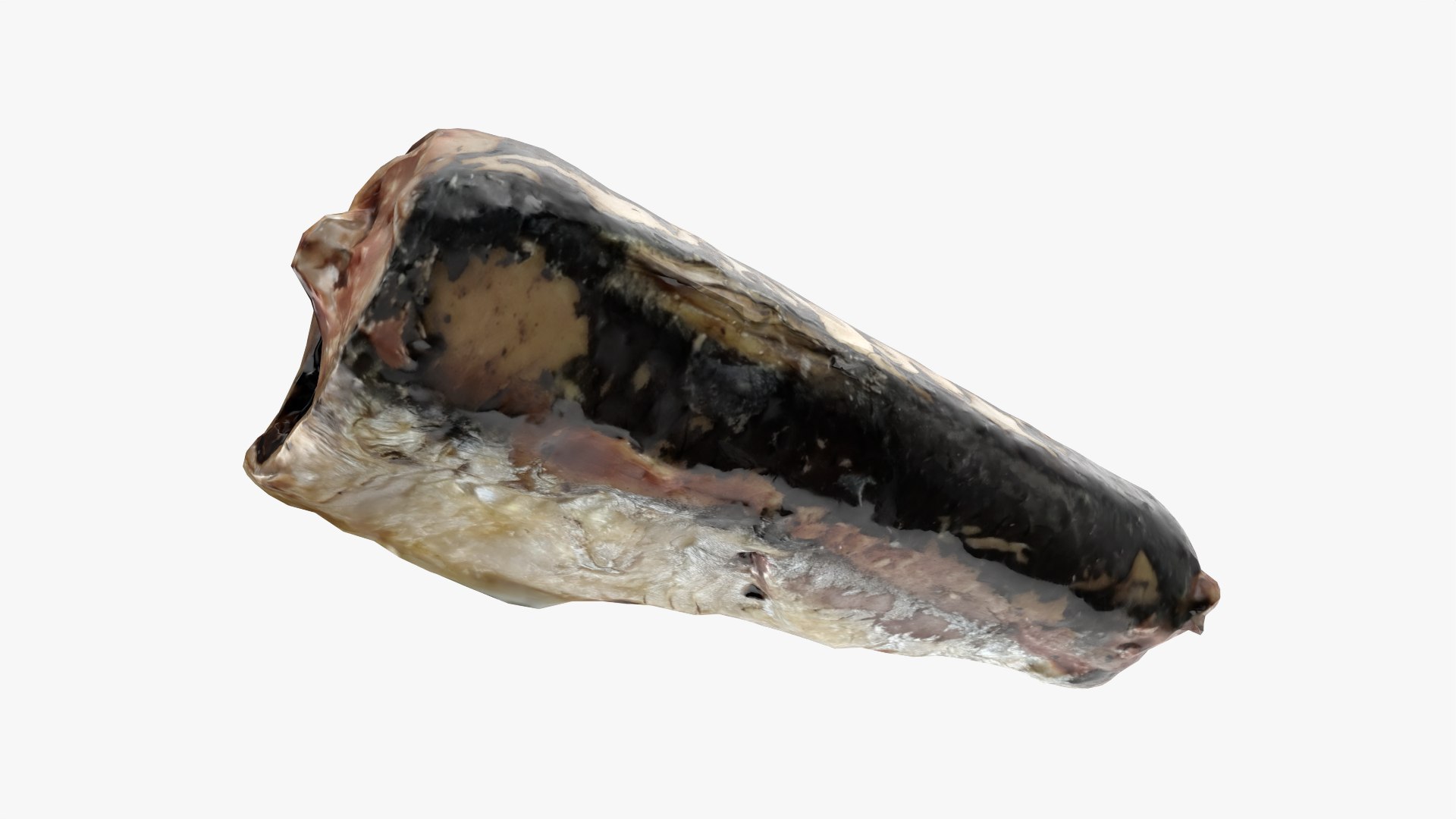 Canned Sardine 01 - Real-Time 3D model https://p.turbosquid.com/ts-thumb/OR/tMobXD/M8/cannsardine01_0008/png/1756401208/1920x1080/fit_q87/04ff273b44fb1f2cdb788d7cf2ad712437a0fde6/cannsardine01_0008.jpg