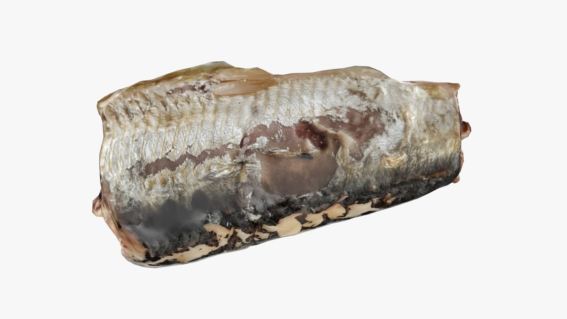 Canned Sardine 01 - Real-Time 3D model https://p.turbosquid.com/ts-thumb/OR/tMobXD/Z0/cannsardine01_0011/png/1756401213/1920x1080/fit_q87/8966dbfc30c3b985222b066ac2ea392bf0428905/cannsardine01_0011.jpg