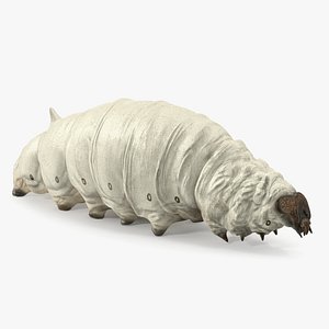 3D model Silkworm White Rigged
