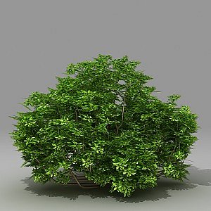 3d model busch