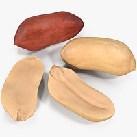 Peanut Seeds 2