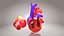 3D Animated Human Heart Anatomy with 2 types cross-section