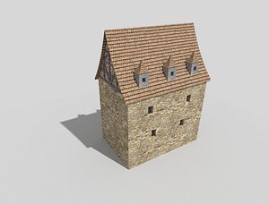 medieval city building