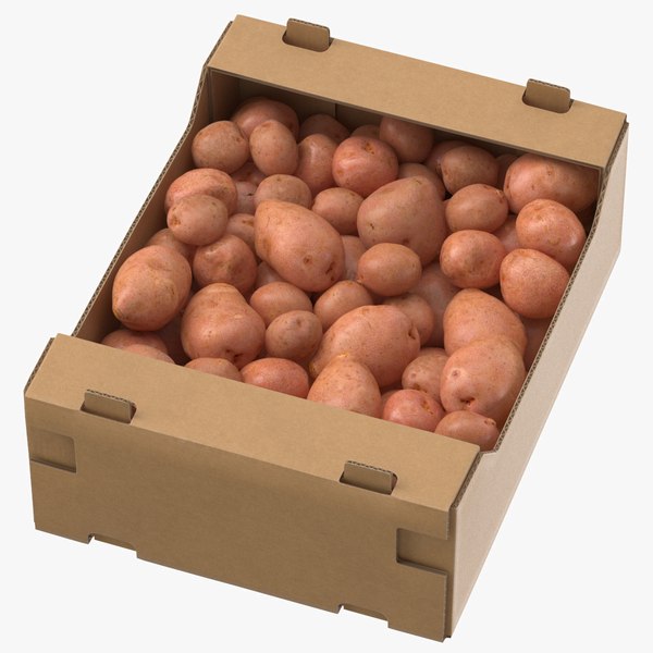cardboard display box 03 3D model