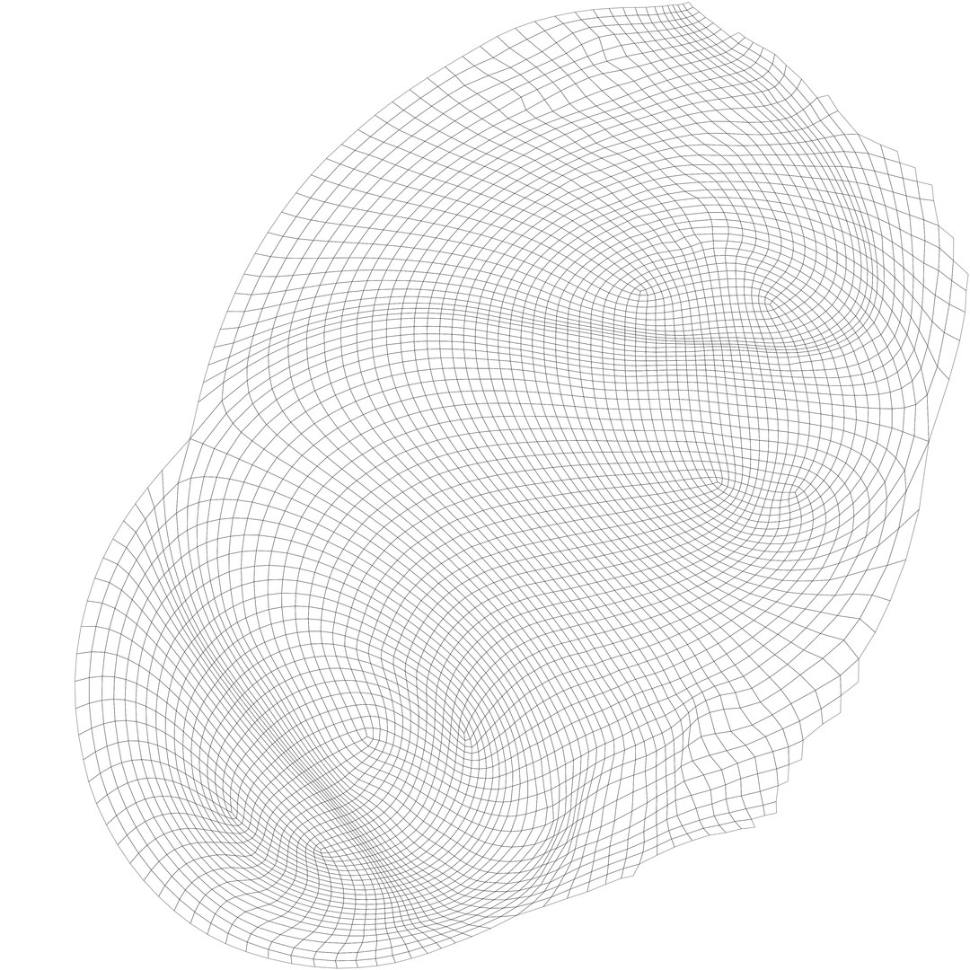 Kidney 3D model https://p.turbosquid.com/ts-thumb/OS/hdjsAn/HI/uv2/png/1731920585/1920x1080/fit_q87/f3d2a262dced614659a368131f25865b42b9bfd3/uv2.jpg