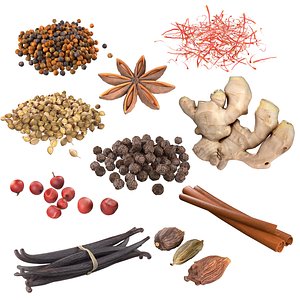 Spice Collection v2 3D model