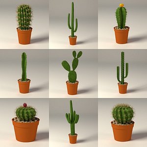 cactus+pots c4d