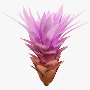 Cartoon Flower V1