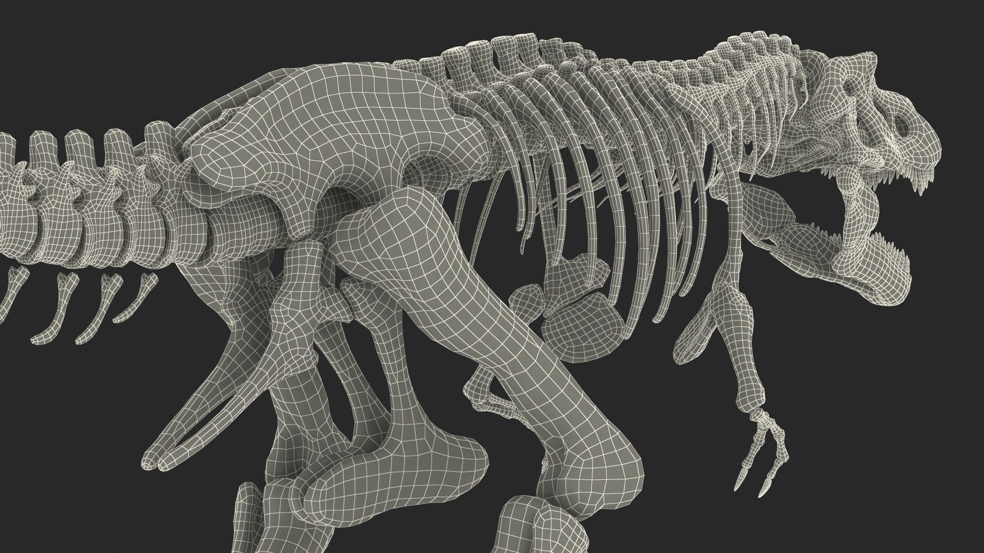 tyrannosaurus rex skeleton fossil 3D model https://p.turbosquid.com/ts-thumb/OS/vqaNxv/3CqiqFCr/tyrannosaurusrexskeletonfossilwithskinriggedmb3dmodel032/jpg/1572010191/1920x1080/fit_q87/aaa38f2f5c4fff437d22a430fc039191efa204ef/tyrannosaurusrexskeletonfossilwithskinriggedmb3dmodel032.jpg
