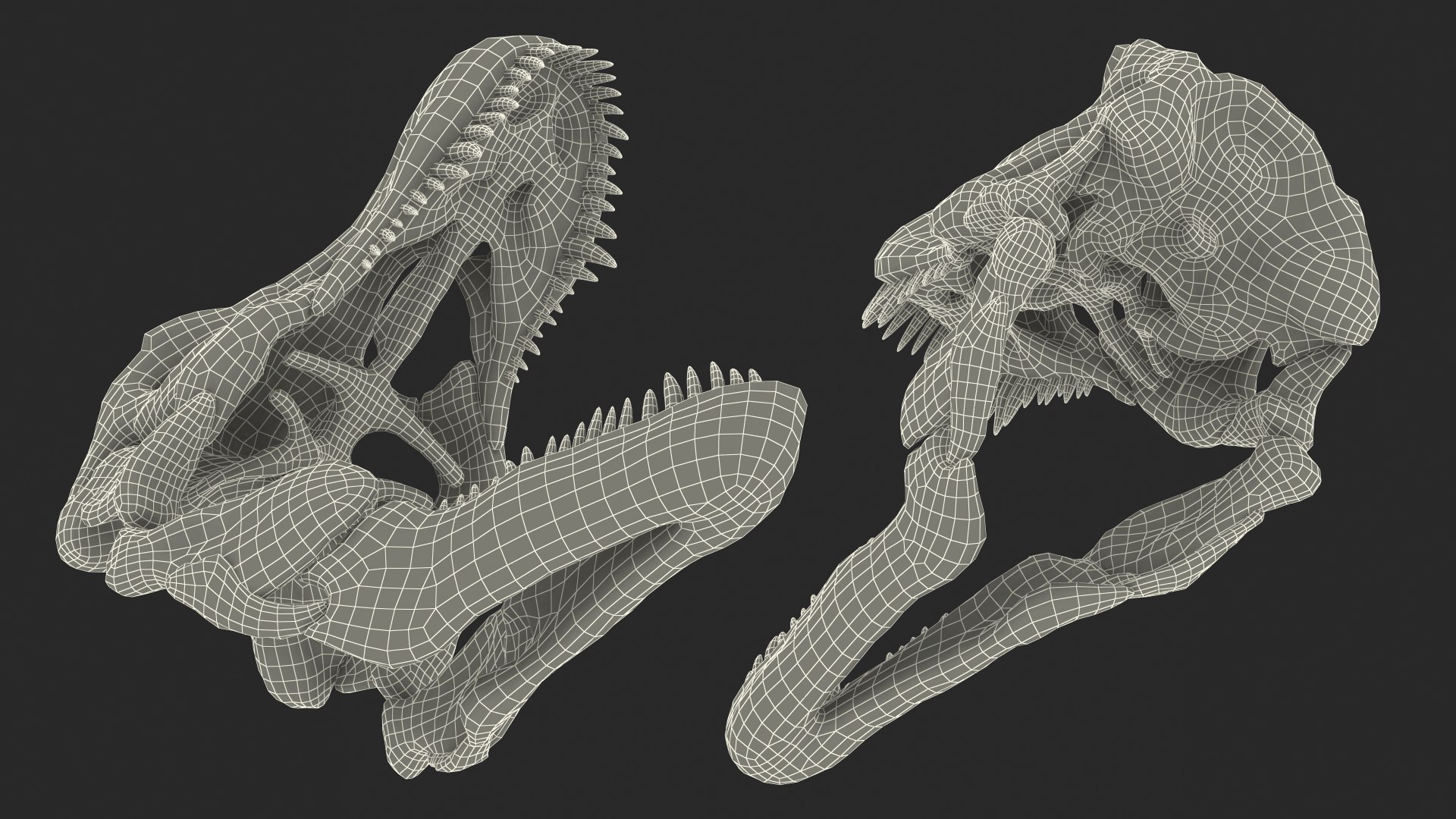 tyrannosaurus rex skeleton fossil 3D model https://p.turbosquid.com/ts-thumb/OS/vqaNxv/3H7x7wzo/tyrannosaurusrexskeletonfossilwithskinriggedmb3dmodel037/jpg/1572010215/1920x1080/fit_q87/71bab3cf4e12ceeec661e896bf38f0f4c544d53d/tyrannosaurusrexskeletonfossilwithskinriggedmb3dmodel037.jpg