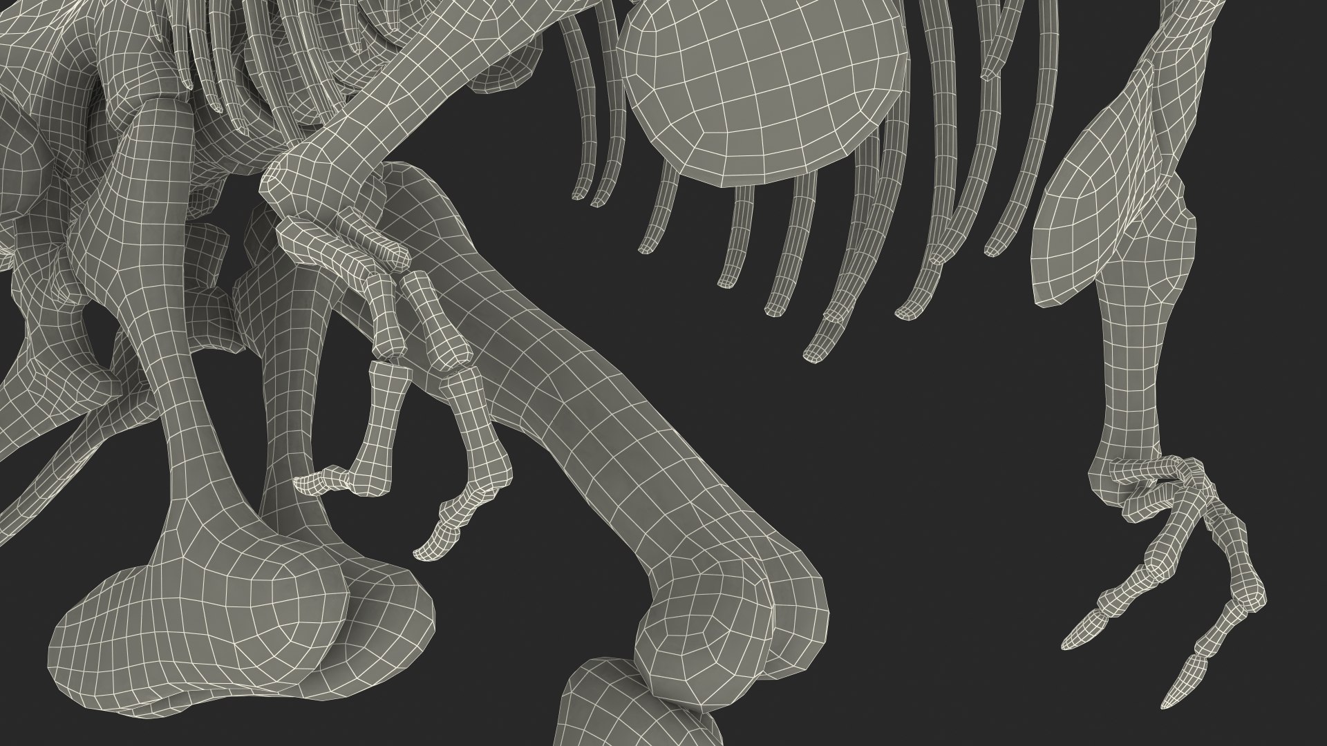 tyrannosaurus rex skeleton fossil 3D model https://p.turbosquid.com/ts-thumb/OS/vqaNxv/AjpbhvxW/tyrannosaurusrexskeletonfossilwithskinriggedmb3dmodel034/jpg/1572010201/1920x1080/fit_q87/17140afc44ec52d52152eb64cf63d5aedb71c82c/tyrannosaurusrexskeletonfossilwithskinriggedmb3dmodel034.jpg