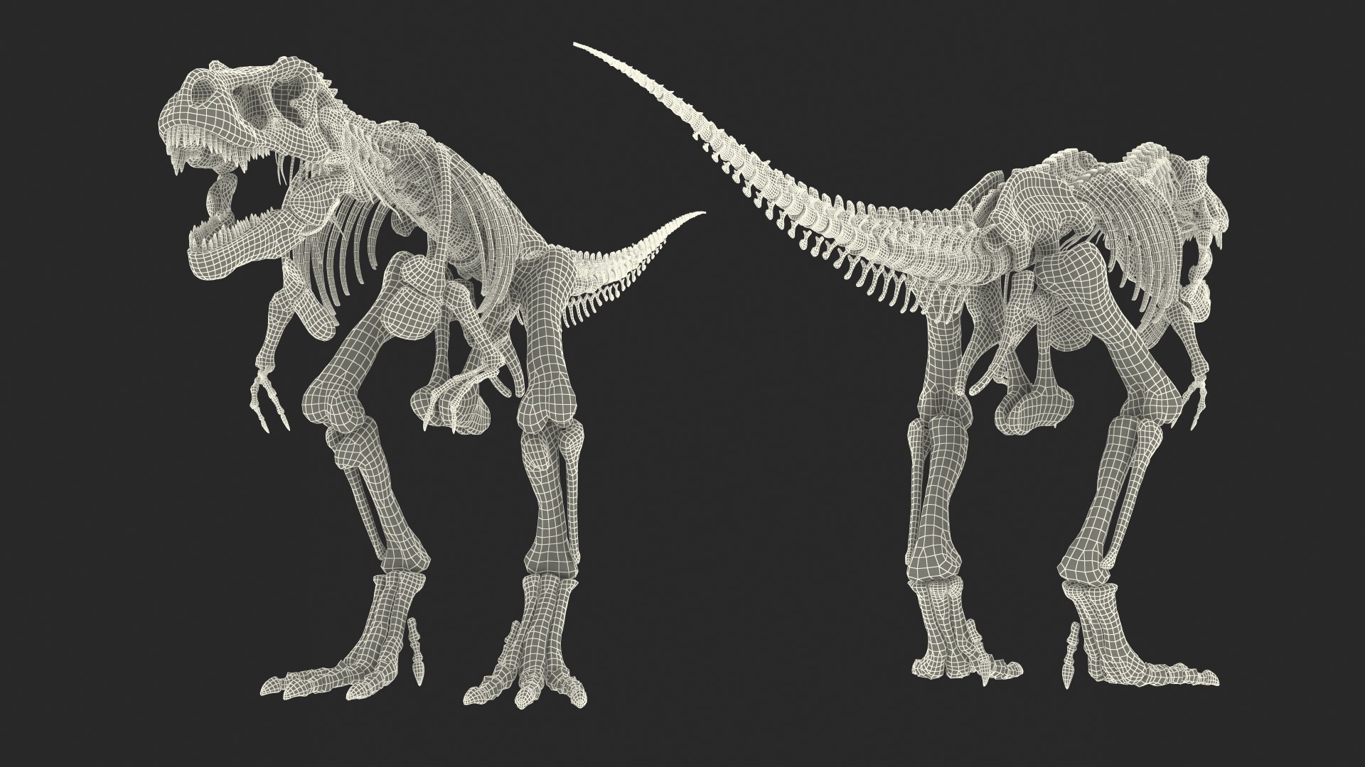 tyrannosaurus rex skeleton fossil 3D model https://p.turbosquid.com/ts-thumb/OS/vqaNxv/lVCtDk6Q/tyrannosaurusrexskeletonfossilwithskinriggedmb3dmodel030/jpg/1572010182/1920x1080/fit_q87/16a7551256003fa6962d1ae407104bbffd0e0356/tyrannosaurusrexskeletonfossilwithskinriggedmb3dmodel030.jpg