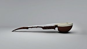 sarod