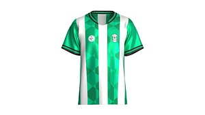 3D Men Green And White Vertical Stripe Sublimated Jersey