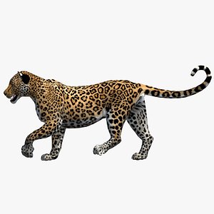 3D Leopard