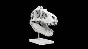3D T-Rex Skull Fossil on Stand 3D Print Model model