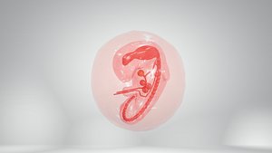 Cycle week 3-1 3D model